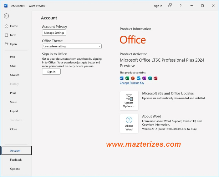 MS Office Professional Plus 2024 Full Version