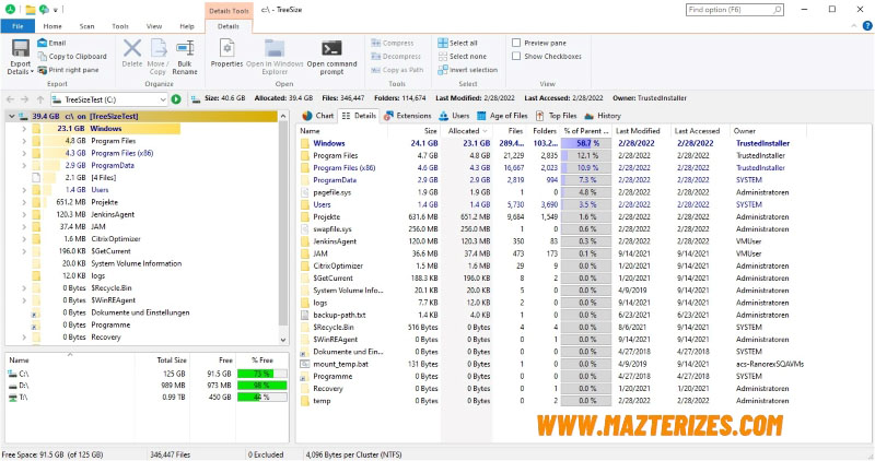 TreeSize Professional 2024 Full Version Download