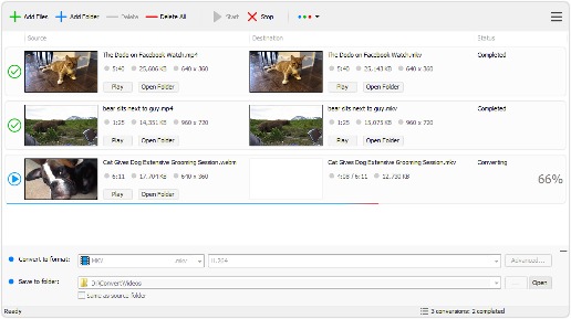 Tomabo MP4 Downloader Pro 2026 Download For PC